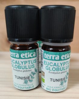 Huile essentielle Eucalyptus Globulus bio 5ml