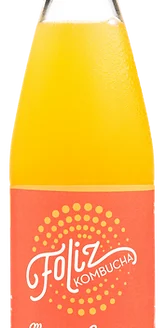 Le Gourmand Mangue/Curcuma 33cl