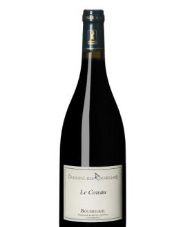 Le Coteau Bourgueil bio 2020